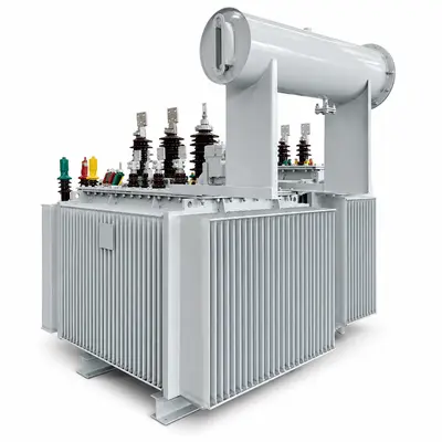 1000kVA 6.6kV/415V Low-Loss Three-Phase Oil-Immersed Distribution Transformer
